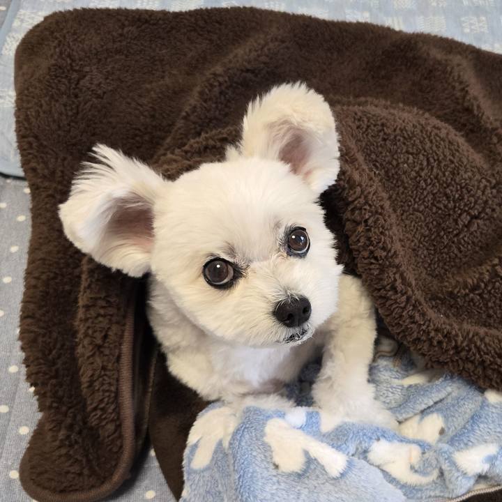 20c3539d 72fa 4e10 a23d b5bc807bf910 1763244607454