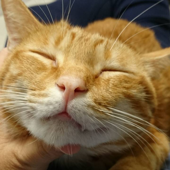 20c3728f 828b 42f8 8ddc a37fc7c1dbf6 1508799249560