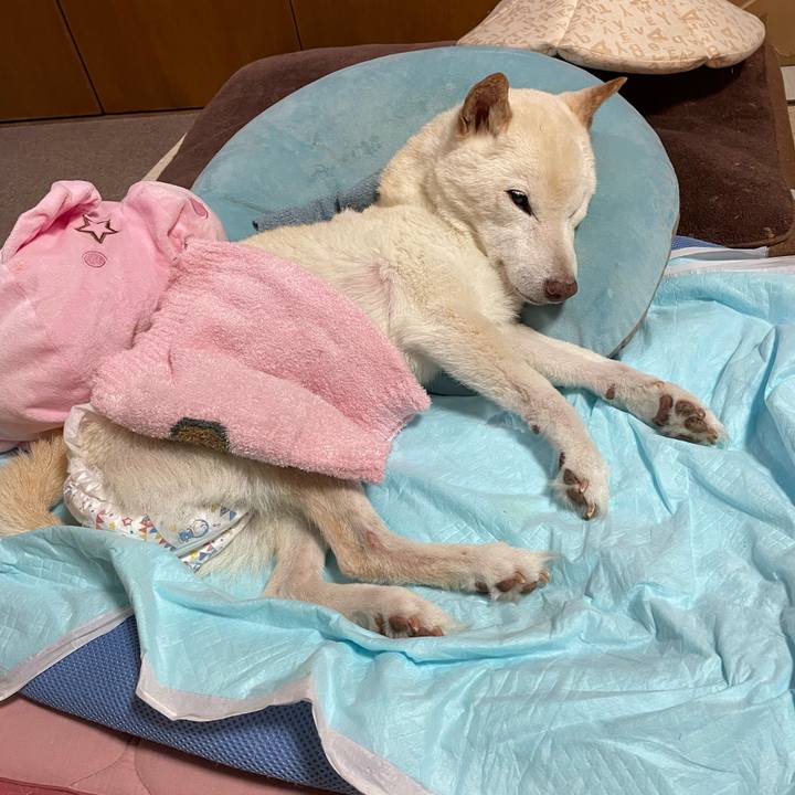 20c37a67 630c 4475 bc01 3e2876cee120 1668604507749