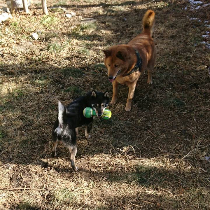 20c38151 9c12 4497 9f37 63e2c9323f1c 1515299453964