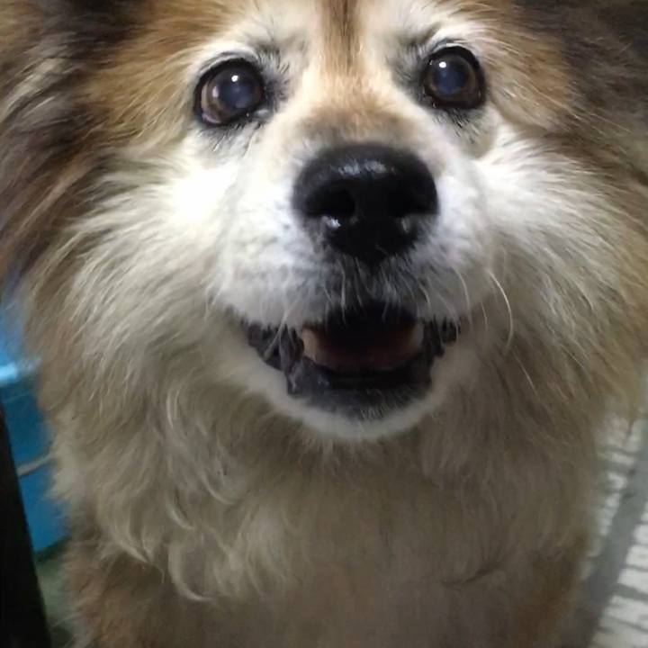 20c3924a 2614 47a8 994c 16c3c196fe36 1647616849518