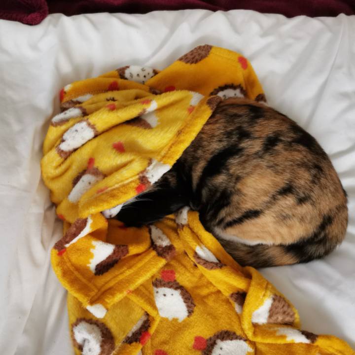 20c3bad5 5eff 4b9c 83bf 8e9bf50c384e 1638070791228