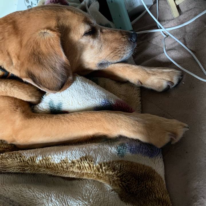 20c3c3fd a237 4e73 8ecb f42a14ea70bc 1620797255644