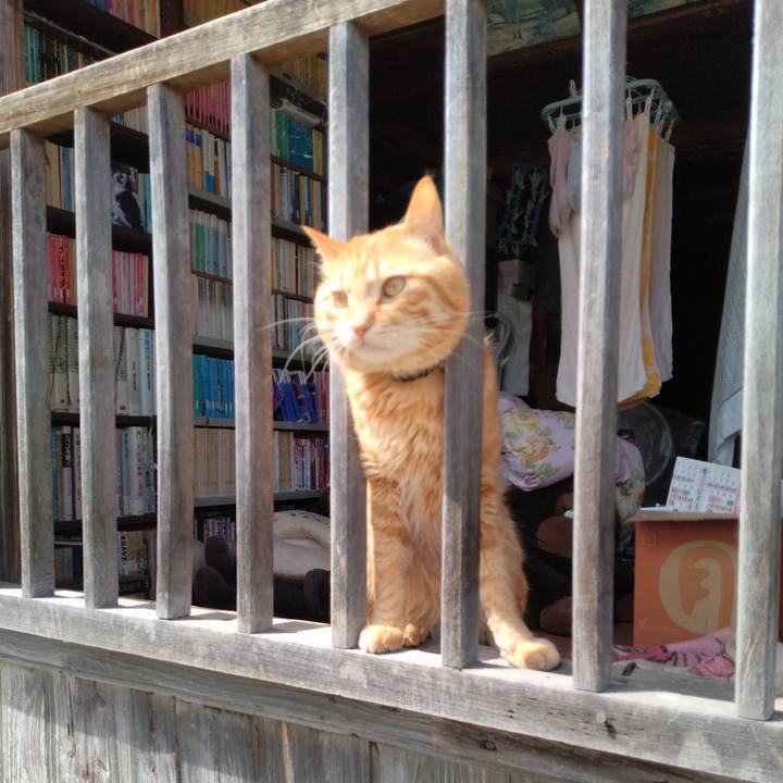 20c3e04d f721 4f80 aefb 802314ee2459 1681187781761