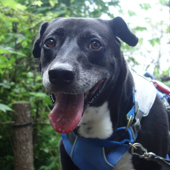 20c40ec9 a519 43a5 b664 5dc59e2245e1 1693873231454