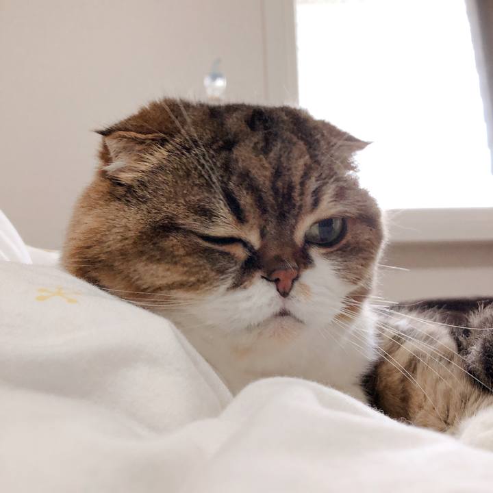 20c433e3 ffee 4479 95d4 66f4a56a0604 1556688409236