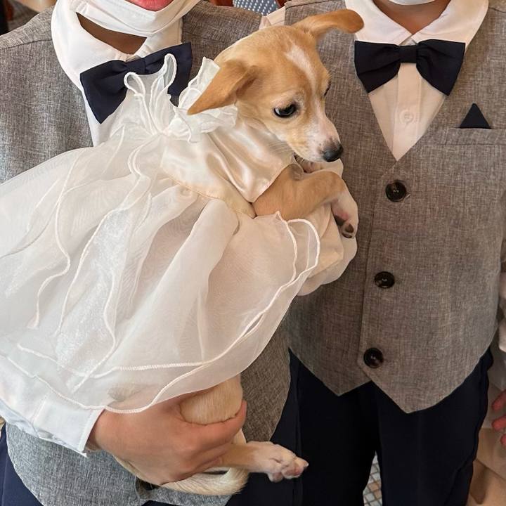 20c484f3 afa0 4447 a444 9ac3a8104ed2 1669021753863