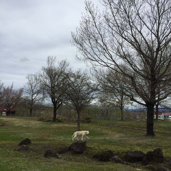 20c48705 7c6b 4bcb 8c54 63b3522a7c10 1524027830853