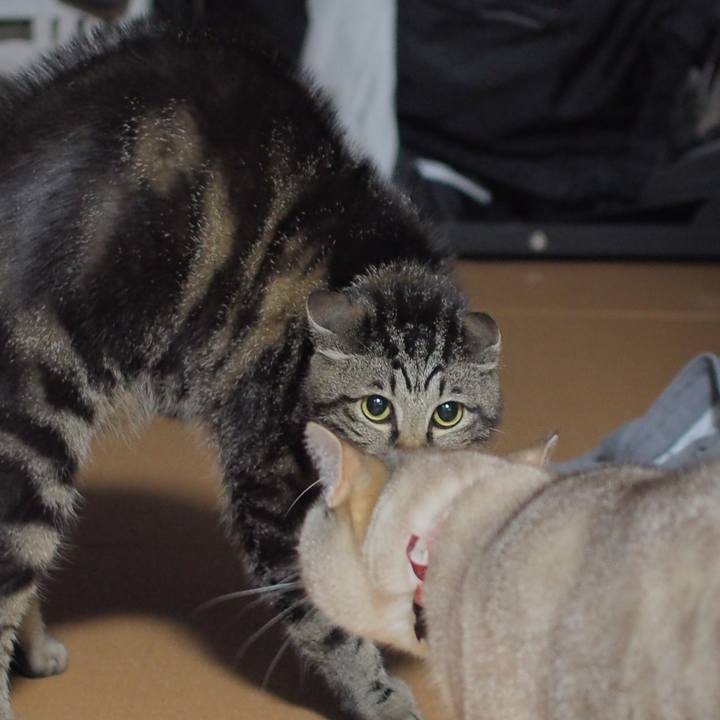 20c49b1c 00de 44c9 8f76 c09633a7bc44 1593866665305