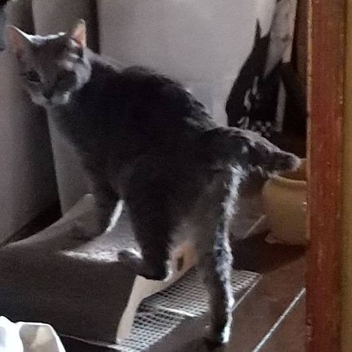 20c4a06d 699c 435f 88cb 485a35da16ff 1698024228267