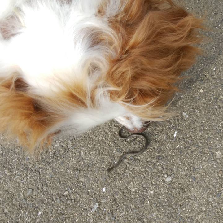 20c4b2da fd20 4fc0 8506 8e8dbf0fa87f 1562283988986