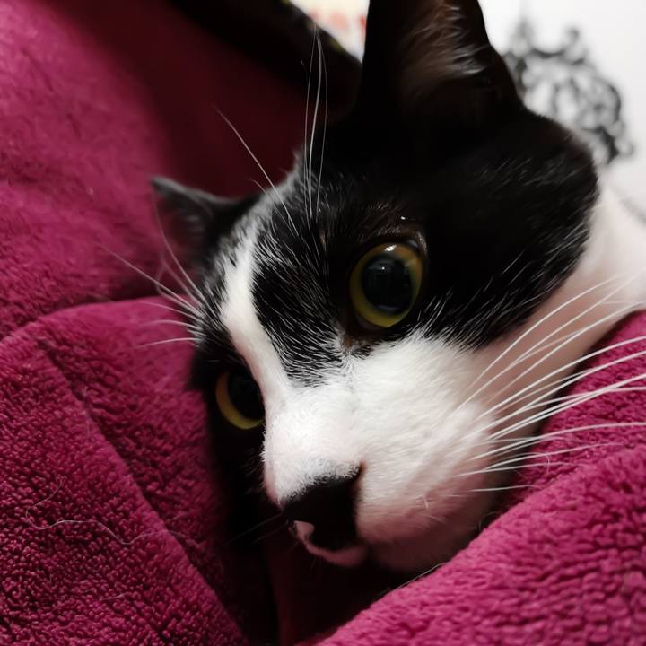 20c4b5e4 0d4e 4908 8a49 cfda2e9b3c56 1550500867632