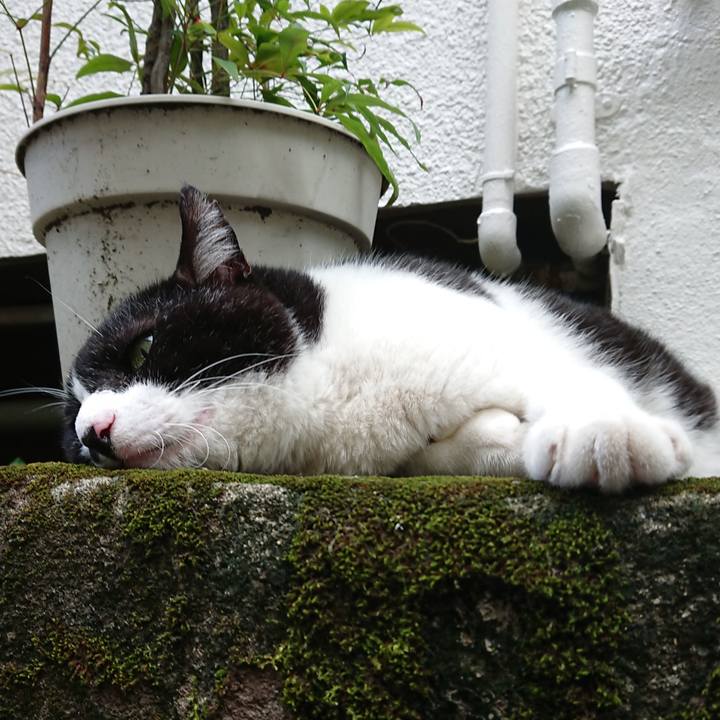 20c4bd62 a030 4fed 9a69 b337bc367cbf 1628582435433