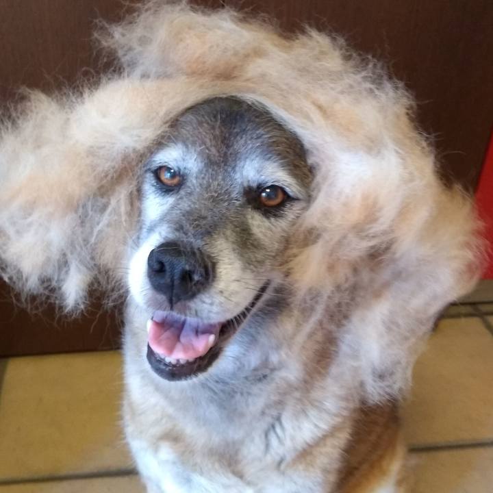 20c5043b 7b98 4b02 a0a8 2dfaf04cc97c 1625011417645