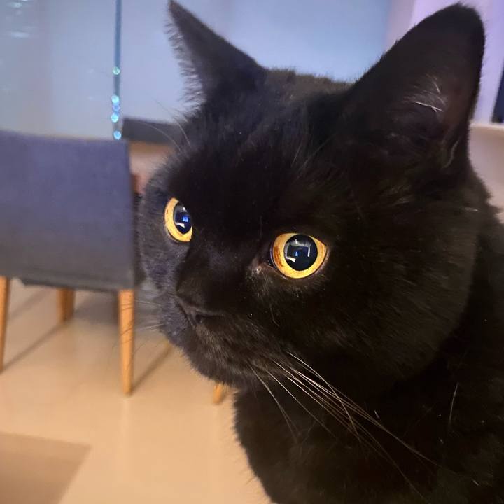 20c53817 1115 4027 998f 3d7f9c76d5ea 1761830567512