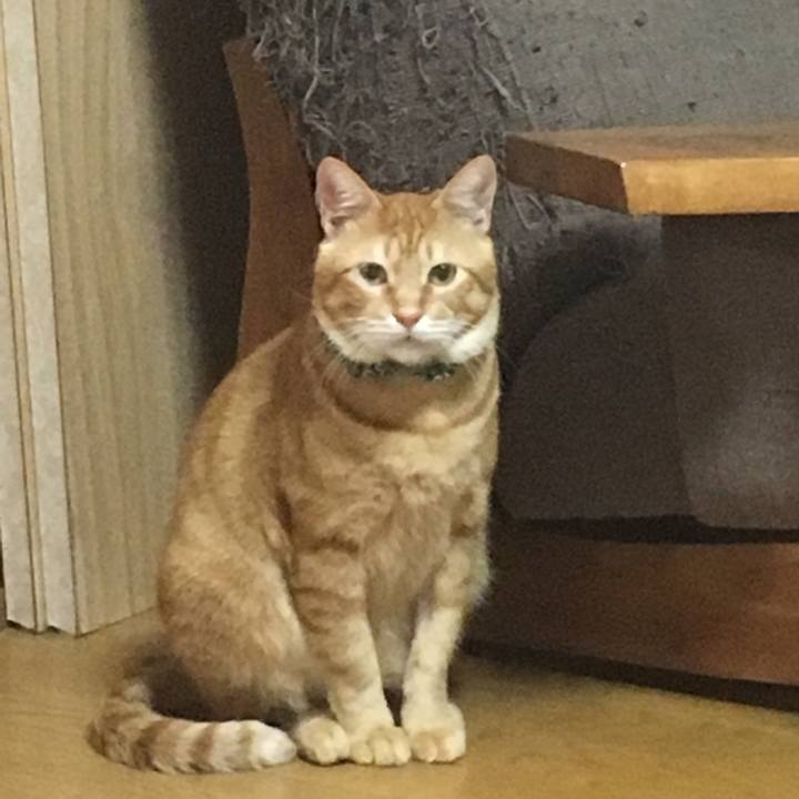 20c5438e 8bde 47ef 98f4 8144de4c6e66 1536843125893