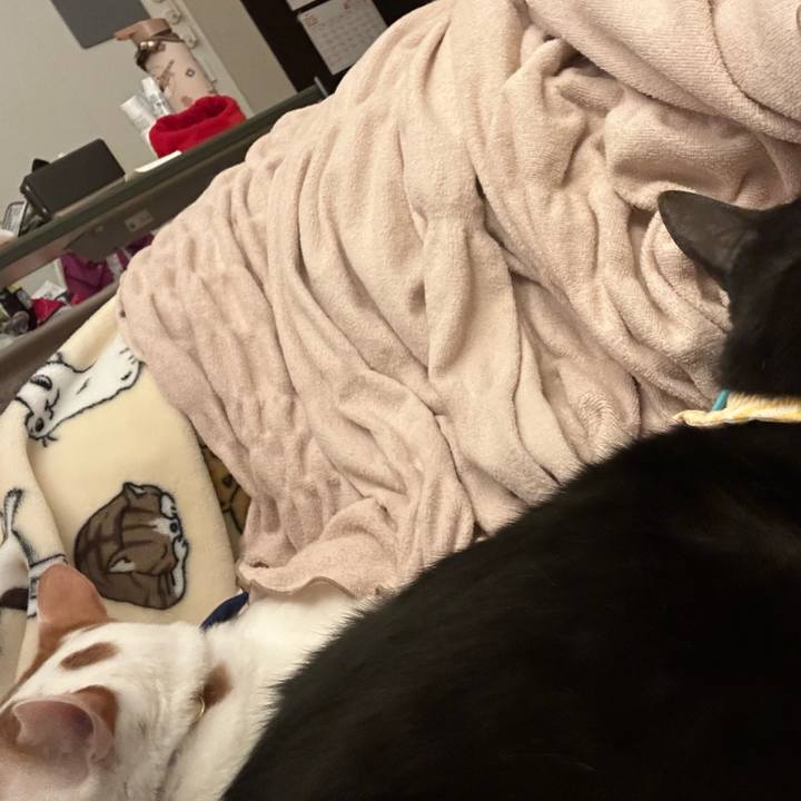 20c553a1 1e2d 4f47 9b2d 1ccfa87c82a1 1761667698600