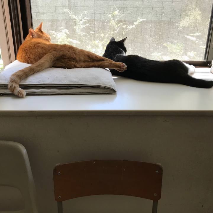 20c56fe0 ed92 4b57 9305 14e968b02f07 1525063677340