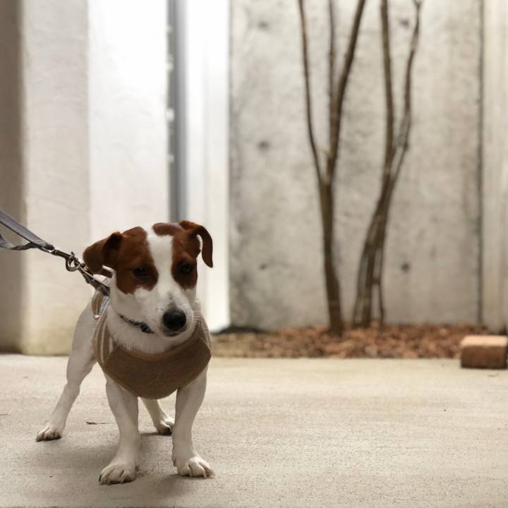 20c573c6 5e92 4184 941e e9f6d5aa9888 1539329142314