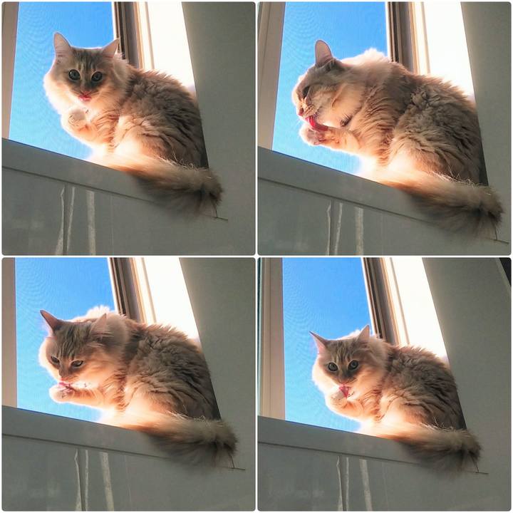 20c597ae 7bc9 4189 900e bd839113144d 1645862910554