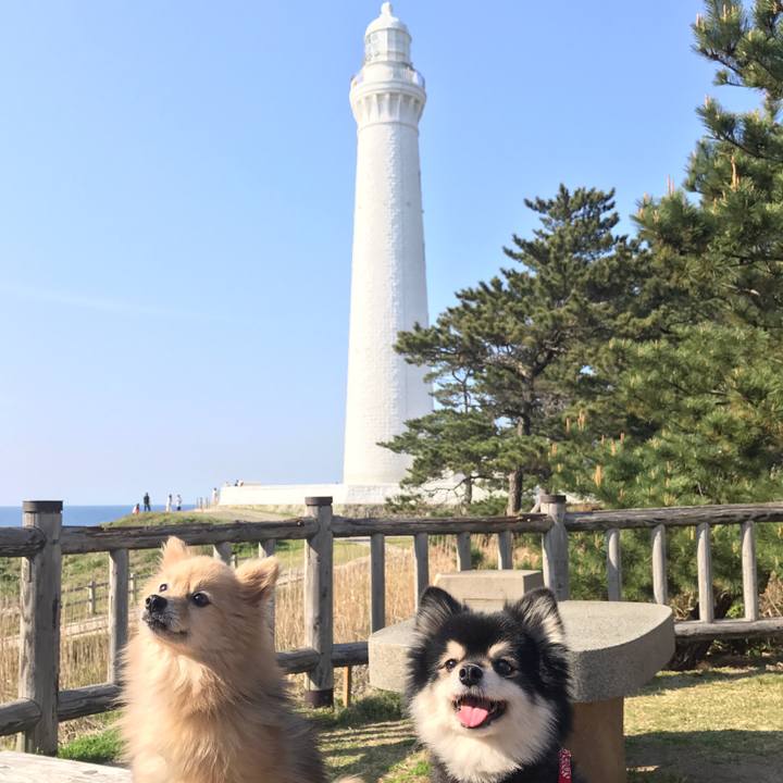 20c5bad6 95d9 4894 9449 82ac4114f605 1564502526339