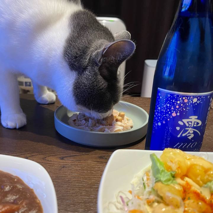 20c5e61a f247 43ae a1e5 97aae956923b 1671619541128