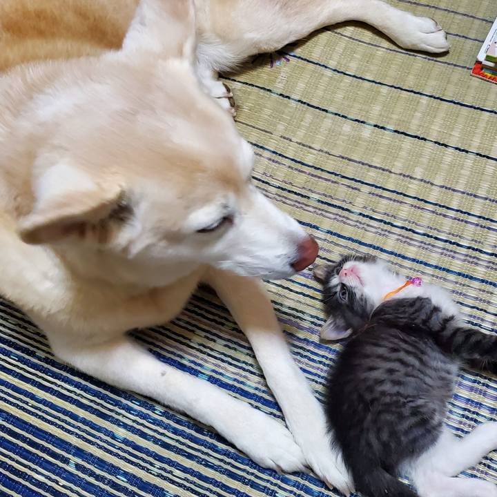 20c61299 6cbc 4b25 86e6 6cdbb8bcb8fd 1624844793378