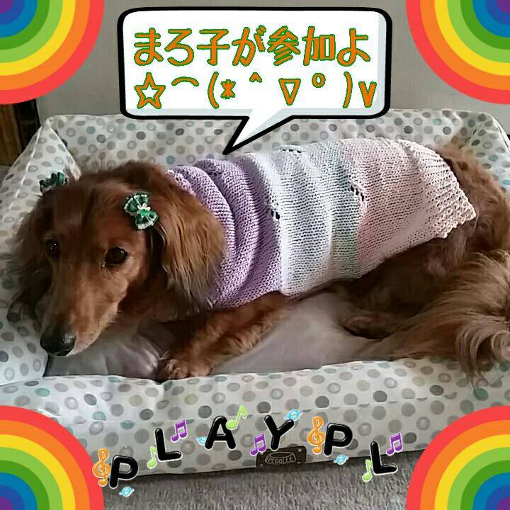 20c619ac 8aca 4397 bc74 c9703c9e74bf 1534037111829