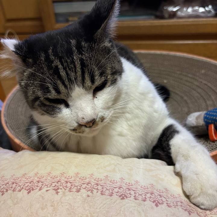 20c66c1d f623 4625 9874 f556fd9302d5 1763377265134