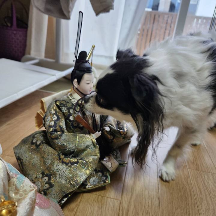 20c67060 1f92 4359 89ba 50b79bdc7587 1772946684041