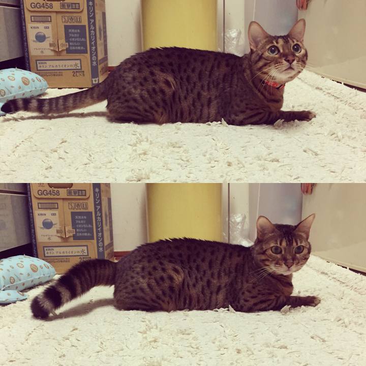 20c6db3d dc29 4ed3 9eaf df21fbbb229d 1508708646090