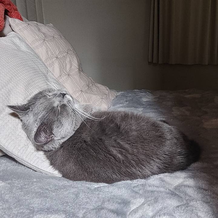 20c6e893 105f 478b a175 aa85997a5498 1645451518235