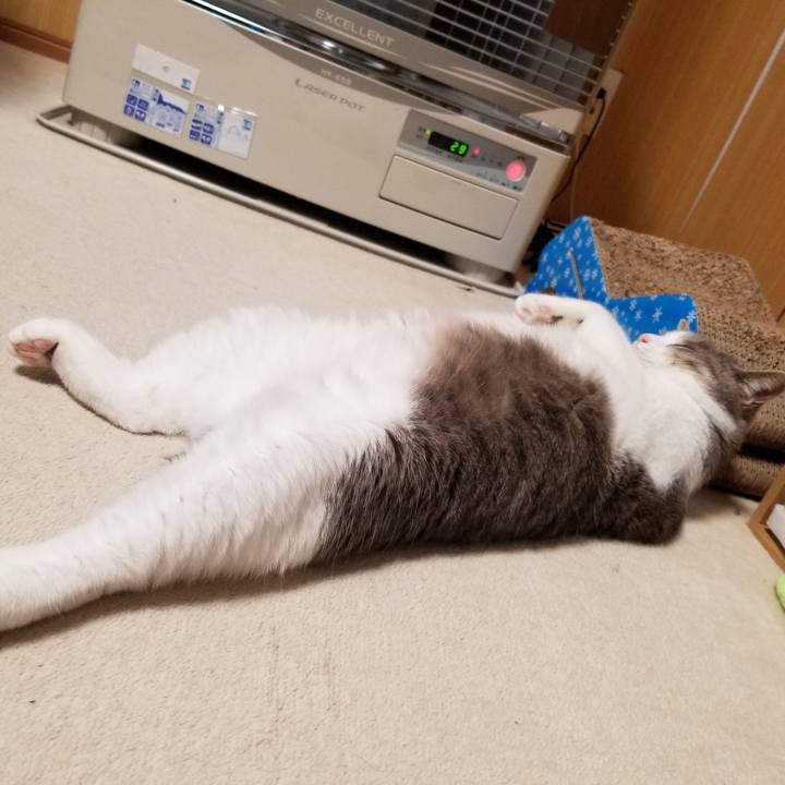 20c73482 8ea7 44d5 a424 85bc127c9f0e 1603106061671