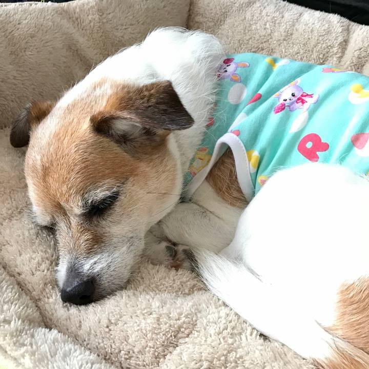 20c739ef ade1 49e9 b770 1f7869b5c627 1623399944842