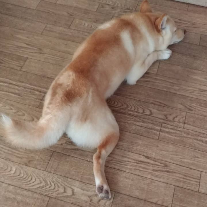 20c7572d b15f 4db6 92bf 2ac5dd96f55a 1535234745075