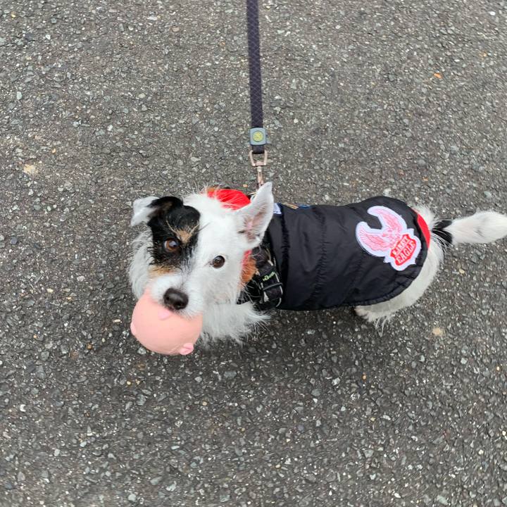 20c7b2c3 ae59 4d91 9b18 4cdc597cfc96 1707095606999