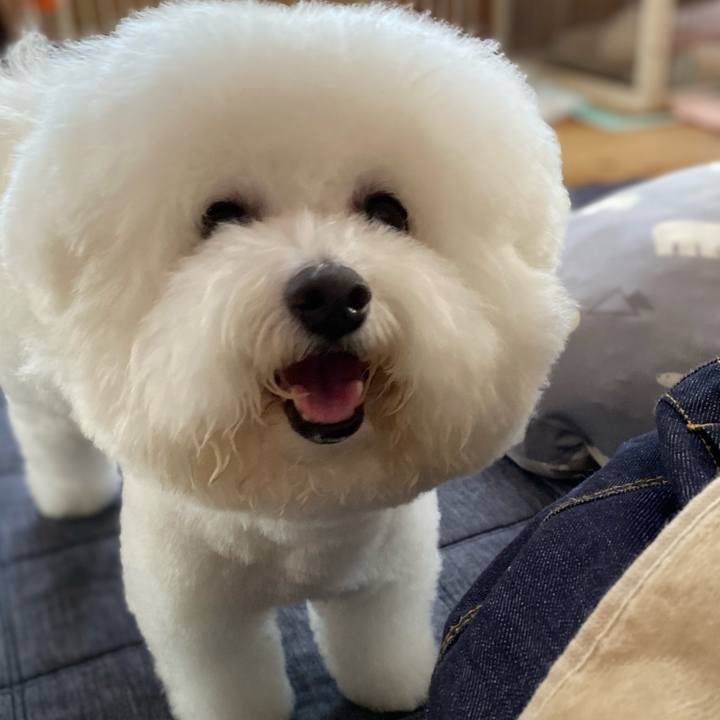 20c80096 8734 468e a68f 9c53d52a0eb6 1633331539709