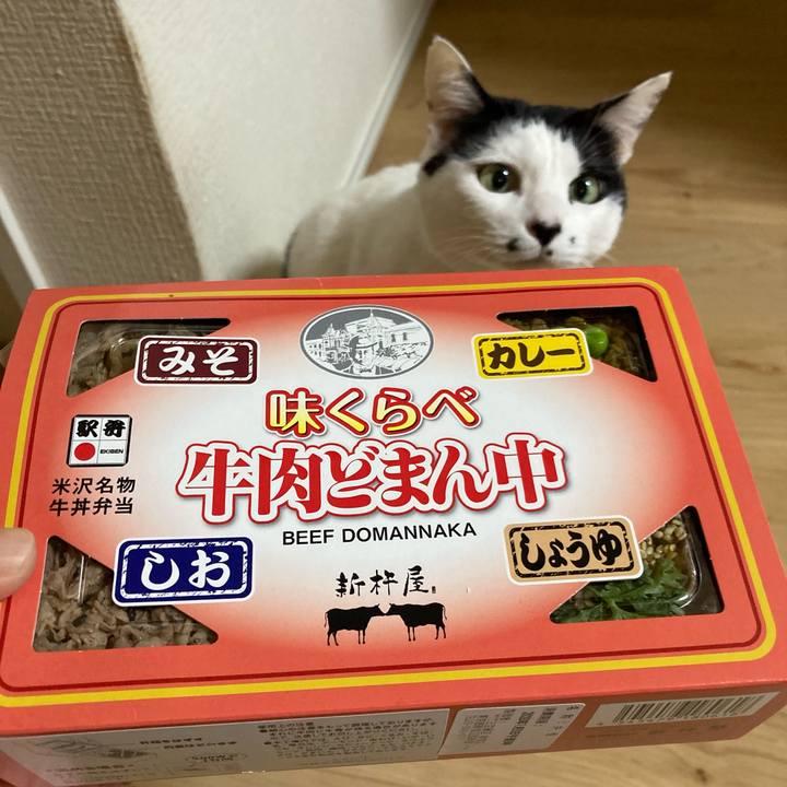 20c80d58 c38b 4ecf 8acf 1db58d3b08dc 1767956605750