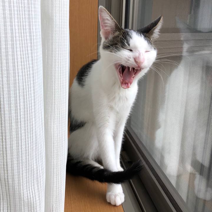 20c826ae 8c28 4da6 a0a5 c5ecccb50fd9 1569915901718