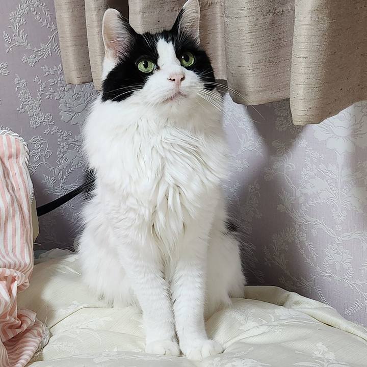 20c82880 beed 44e2 a757 9b5ba6388adb 1715433537283