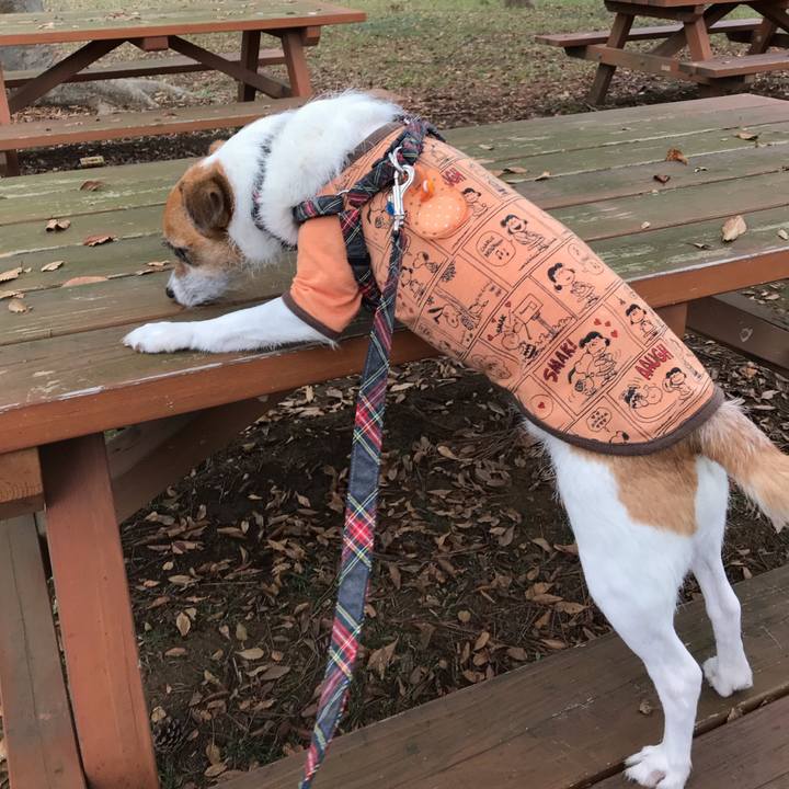 20c82dc4 7128 47e5 9937 be5e17d3adea 1539676923425