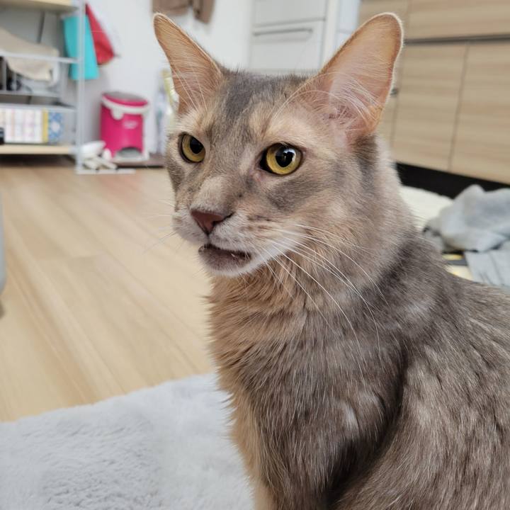 20c83bba dfb3 4e5f 8e92 eb6758d3f758 1644715819414