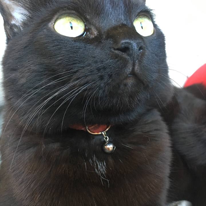 20c84619 dbb0 4a34 9d66 d077486e6ebc 1514436457526