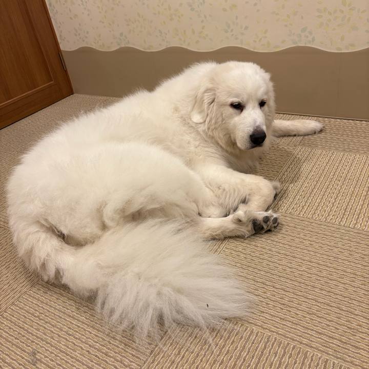 20c850b5 44dd 43b5 8aff ded94752890d 1761859279484