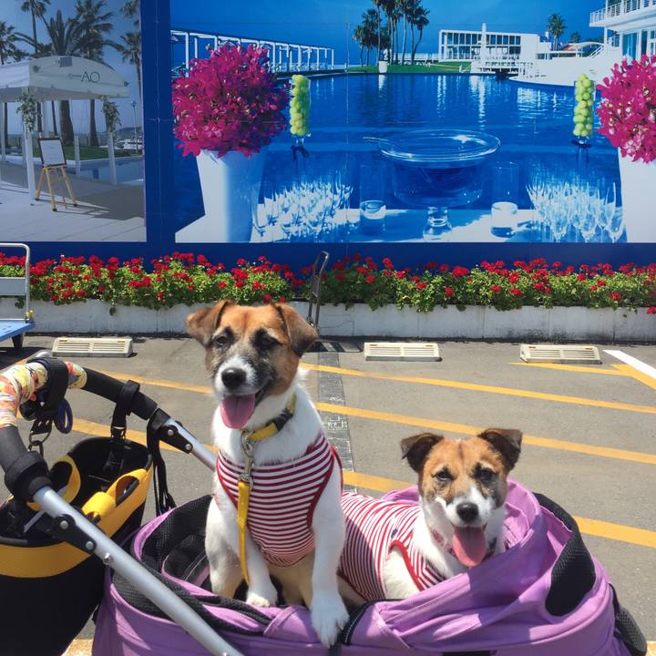 20c85402 833e 4e26 a879 d4feae074e80 1531634204076