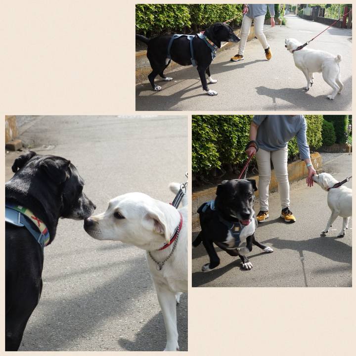 20c875bd 7194 47d5 8fbf 9d598280dd97 1714355643538