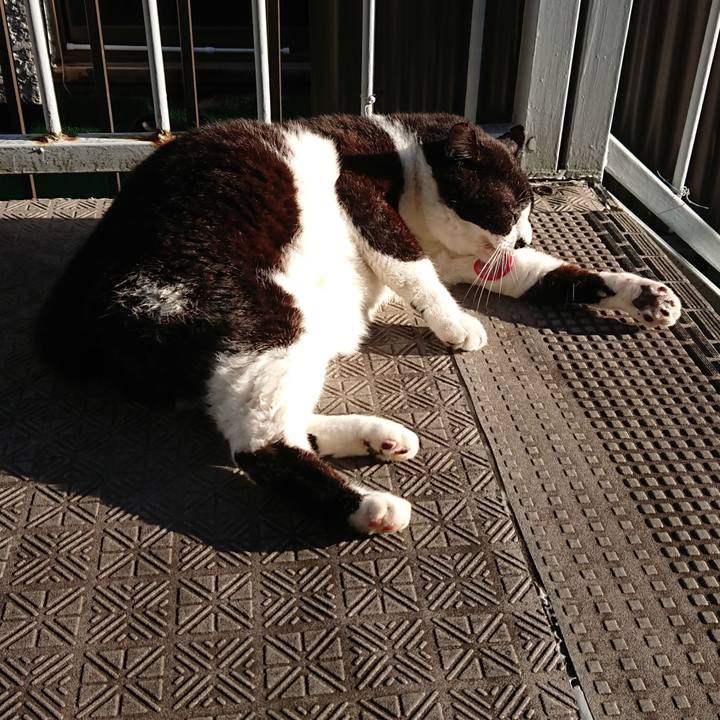 20c879fb 4f5f 4d09 9b66 25c6a71a317f 1633129254897