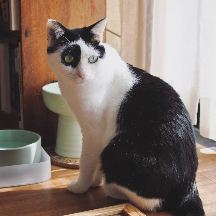 20c88451 33cc 4ea8 a73d c3235af422c1 1618285118887