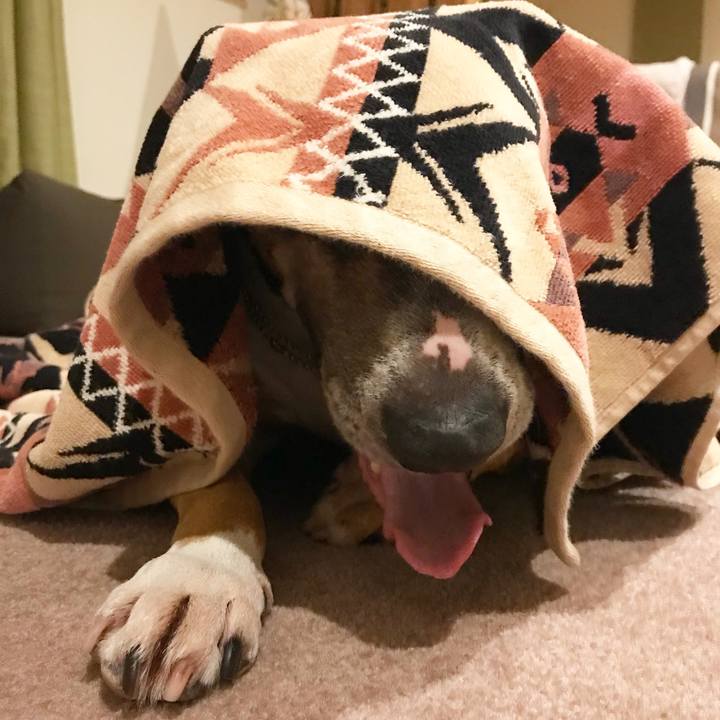 20c89071 b26c 43ea 81ed 073782c5505d 1520587226948