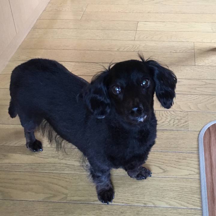 20c8b0dc ddb6 4bf4 a2a6 ad3077c493e2 1530919895973